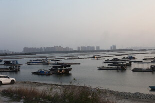水上停泊船只的宁静场景