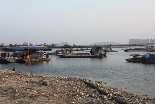 港口停泊的多彩船只