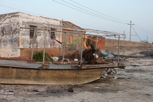 破旧船只停靠于荒芜岸边