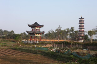 田野中的古塔古亭景观