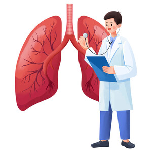 医生查看肺部研究资料