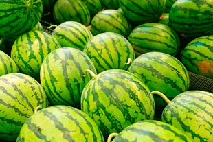 新鲜饱满的堆垒西瓜