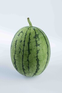 西瓜