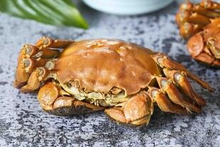鲜活大螃蟹