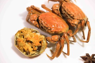 美味大闸蟹与蟹黄美食