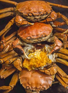 肥美大闸蟹