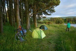 林间露营场景 享受户外时光