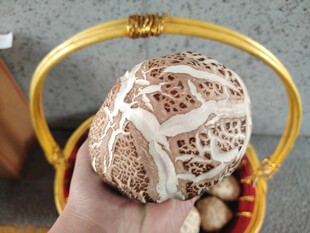 手捧精美竹编球饰花菇