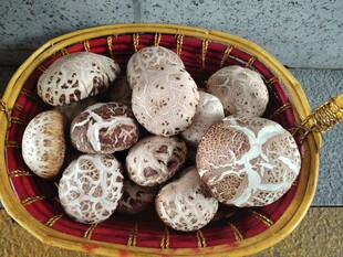 竹篮中的新鲜花菇