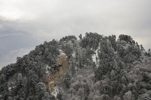 雪覆山林山顶壮丽景观