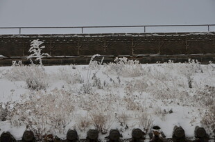 雪覆草地 冬日萧瑟景致