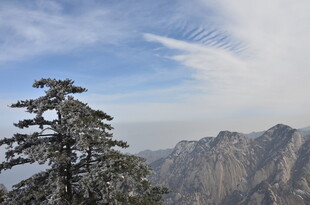 华山之巅的孤松与远山