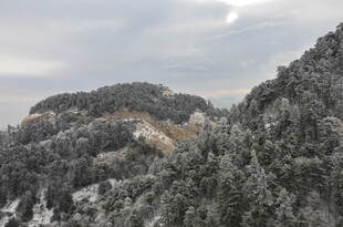 雪覆山林的壮美景观