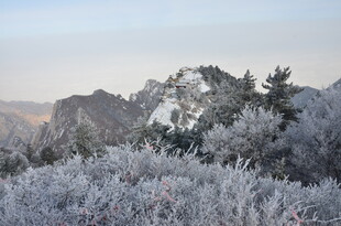 冬日雾凇覆盖的山林美景