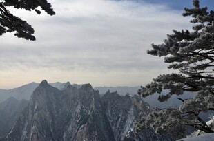 黄山奇峰与松景