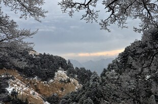 雪覆山林间的壮美景色