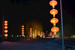 夜晚街头的喜庆红灯笼