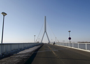 现代斜拉桥风景