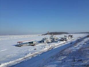 冬日雪地中的车队景象