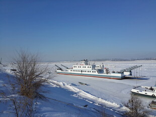 冬日雪景中的村庄景象