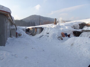 雪覆盖的乡村冬日景象