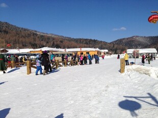 热闹的户外雪地活动场景