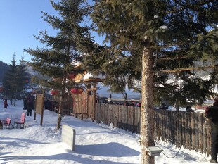 冬日雪景中的静谧林间小道