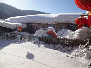 雪覆村庄挂红灯迎新春