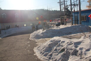 冬日路旁积雪景象