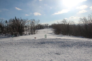 冬日雪景中的开阔雪地