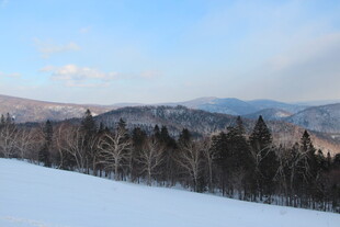 冬日雪林与远山美景