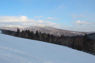 冬日雪山松林美景