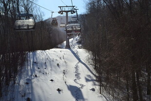 雪场缆车穿梭于山林间