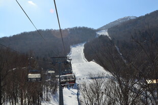 雪场缆车雪景如画