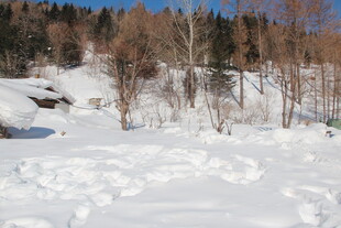 冬日雪景中的静谧村落