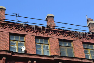 红砖建筑上的老式窗户