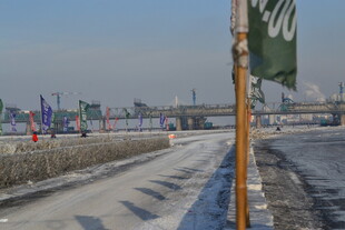 冬日户外道路旁景色