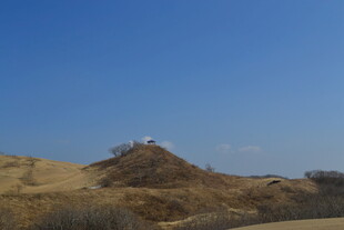 蓝天映衬下的山丘风光