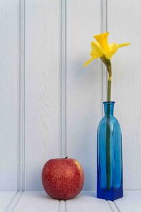 蓝瓶黄花红果静物组合