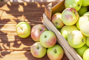 木盒中色泽诱人的鲜苹果