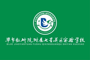 华北电科院附属实验学校班旗