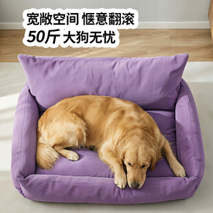 紫色狗窝中安睡的金毛犬