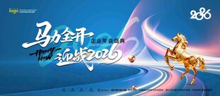 会议背景