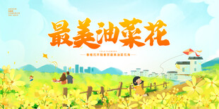 油菜花