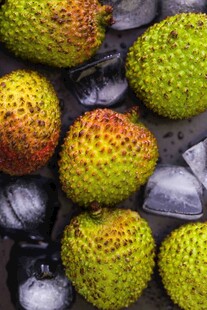 新鲜荔枝置于冰块之上