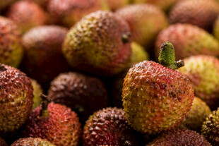 新鲜饱满的荔枝果实