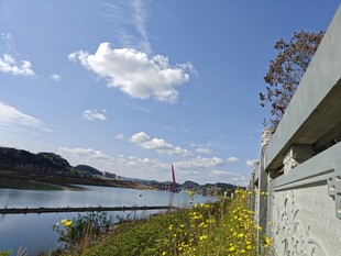 湖畔美景 围栏旁的春日风光