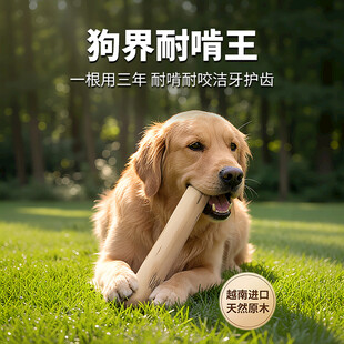 狗狗磨牙棒主图设计