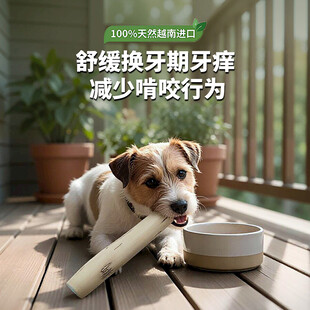 狗狗磨牙棒主图设计