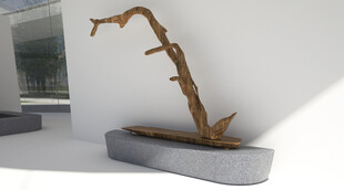 独特枯木艺术摆件